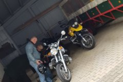 Wieder zu Hause, der Fotograf immer noch in Seitenlage. /
Back home, the photographer's still leaning a bit.