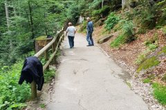Triberg Wasserfälle, die ersten 200 Höhenmeter. /
Triberg waterfalls, the first 200 mtrs in Elevation.
