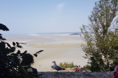 20190628_130557