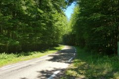 ... und zum zweiten Mal in die Nord-Vogesen. / .... and a second time into the North Vosges.