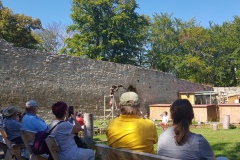 20190903_143536