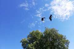 IMG-20190903-WA0010