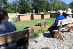 IMG-20190903-WA0011