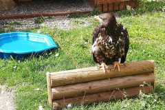 IMG-20190903-WA0012